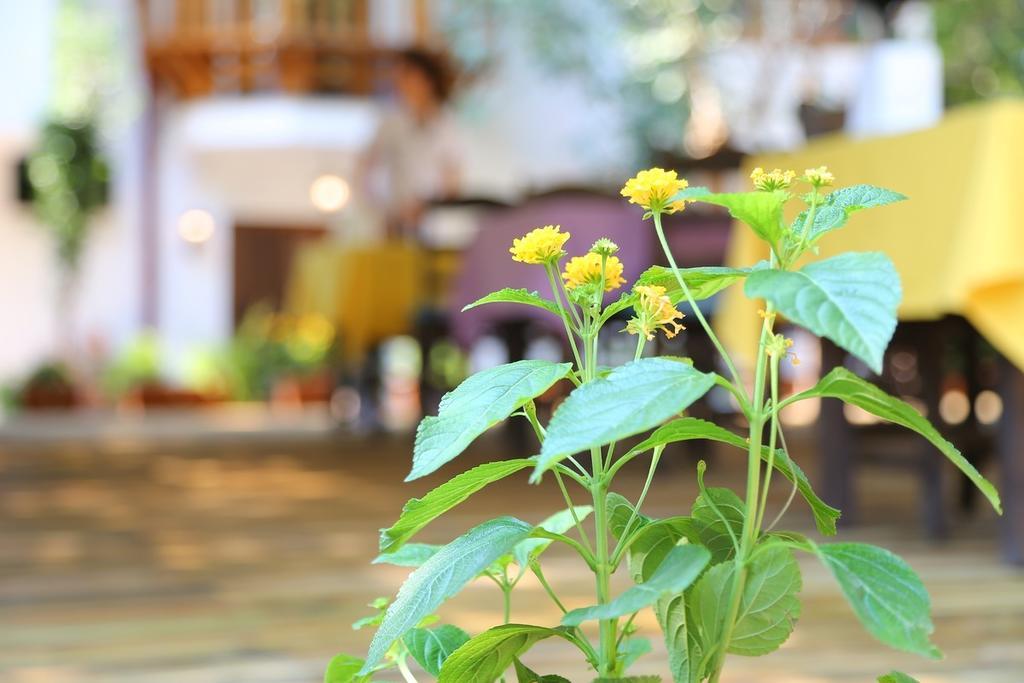Akyaka Yali Capkini Hotel Kültér fotó